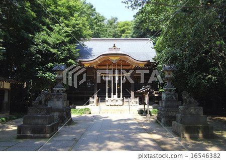 Shakujii Hikawa Shrine 16546382