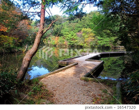 Hodaka Lake 16547320