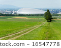札幌·Yanagaoka 16547778