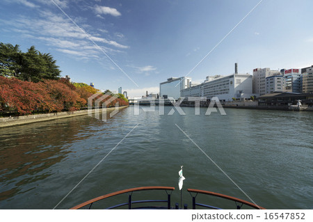 Nakanoshima鄰里秋天風景 16547852