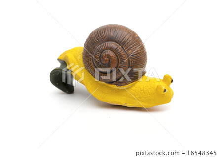 Snail on the white background 16548345