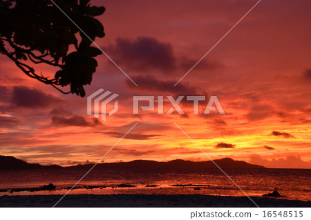 Sunset on the south island Sunset on the south island 16548515