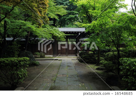 Street of the forest in the rainy weather forest Street of the forest in the rainy weather forest 16548685