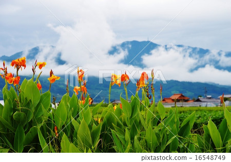 When I was in Canna · Fukuoka Early Mountain 16548749