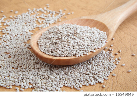 正大種子 16549049