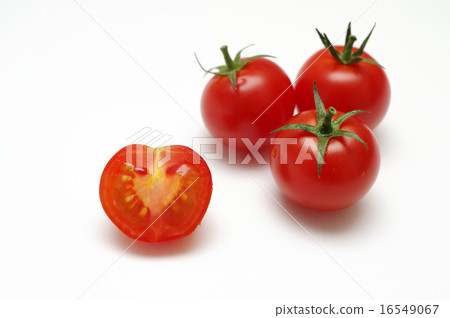 Clean and fresh mini tomatoes and half lining up Clean and fresh mini tomatoes and half lining up 16549067