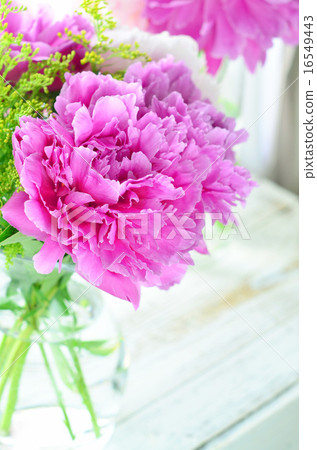 Shakuyou's bouquet Shakuyou's bouquet 16549443