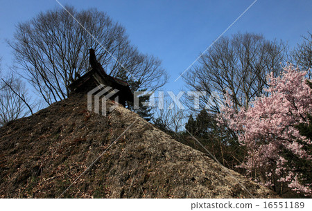 Thicker roof and cherry blossoms 16551189