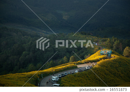 View point on the hilltop 16551873