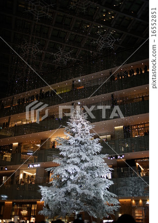 東京站丸之內 16552851