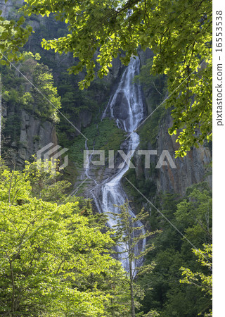 Sounkyo Ginkgo Waterfall 16553538
