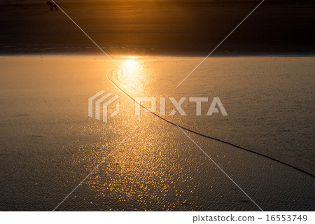 一波沿著海灘奔跑 一波沿著海灘奔跑 16553749