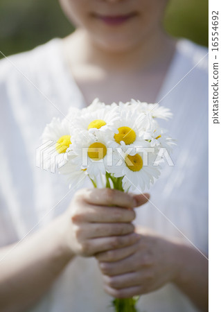 花束 花束 16554692