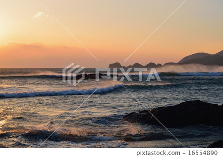 In the wind 16554890