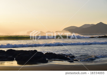 In the wind 16554893