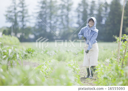 農業女孩 16555093