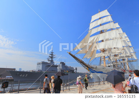 Nihon Maru Seiridoriru 16555135