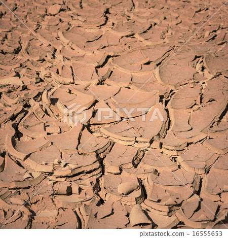 Cracked dry land 16555653