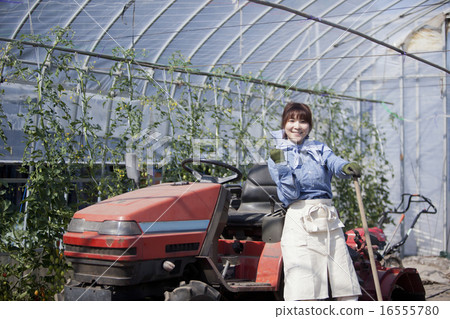 Agriculture female tractor Agriculture female tractor 16555780