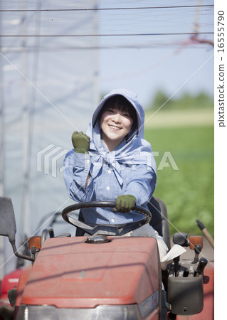 Agriculture female tractor Agriculture female tractor 16555790