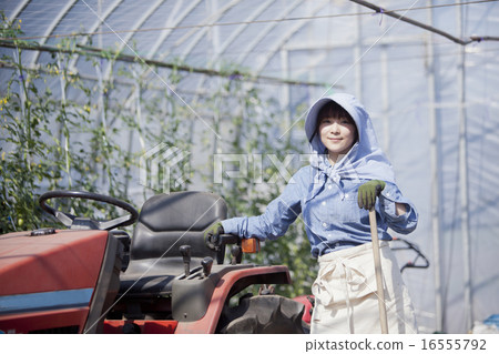 Agriculture female tractor Agriculture female tractor 16555792