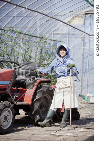 Agriculture female tractor Agriculture female tractor 16555793