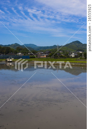 鄉村景觀朝倉市 16555925