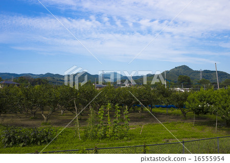 Asakura-shi Hoshino triple turbine group and country scenery 16555954