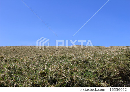 自然景觀 16556032
