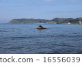 海的看法5 16556039