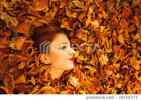 Portrait of young woman in autumn leaves. 16556372