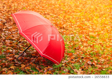 Red umbrella in autumn park on leaves carpet. Red umbrella in autumn park on leaves carpet. 16556633