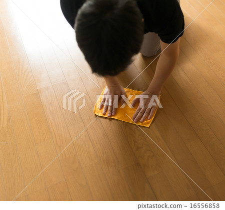 clean up clean up 16556858