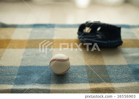 Baseball Ball 16556903