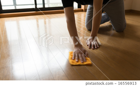 clean up clean up 16556913
