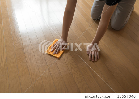 clean up clean up 16557046