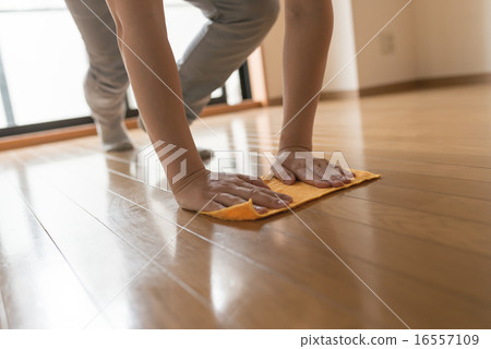 clean up clean up 16557109