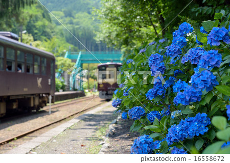 Warabi station in July Warabi station in July 16558672