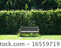 Bench Bench 16559719