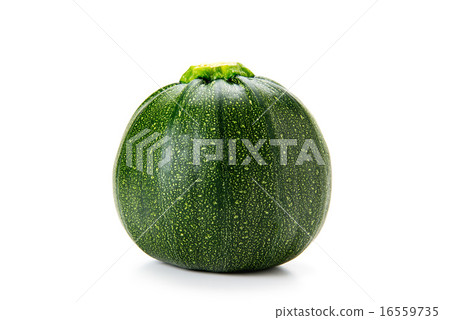 Round Zucchini 16559735