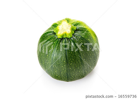 Round Zucchini 16559736