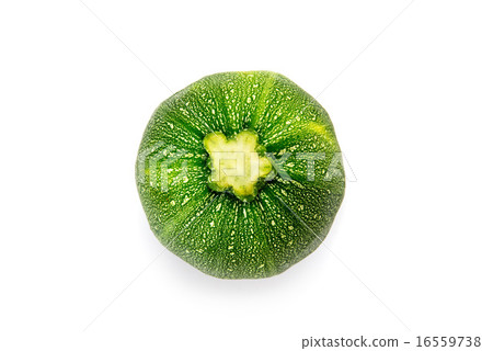 Round Zucchini 16559738