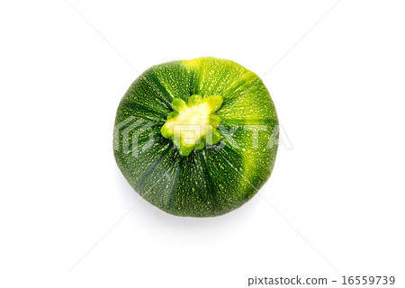 Round Zucchini 16559739