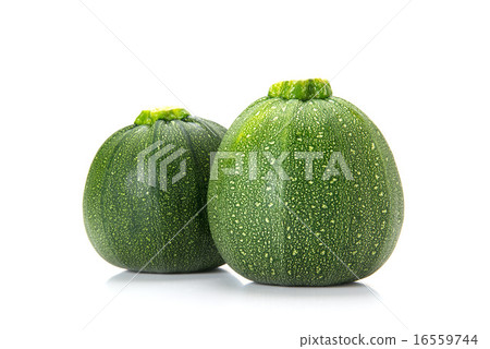 Round Zucchini 16559744