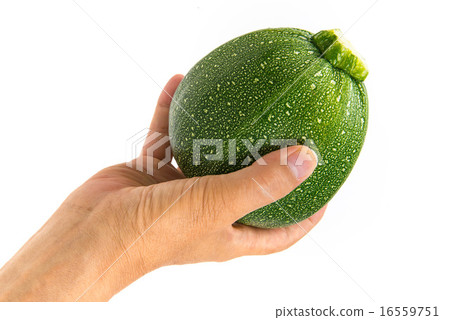 Round Zucchini 16559751