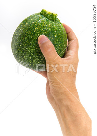 圓形西葫蘆 圓形西葫蘆 16559754