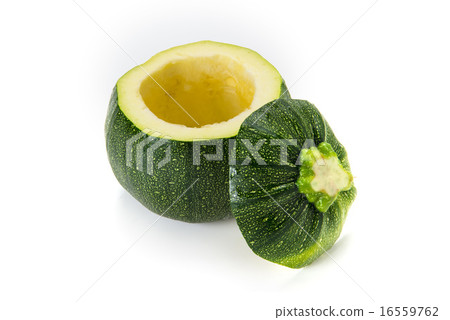 Round Zucchini 16559762