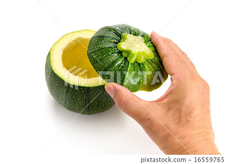 Round Zucchini 16559765