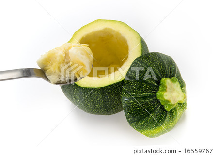 圓形西葫蘆 16559767