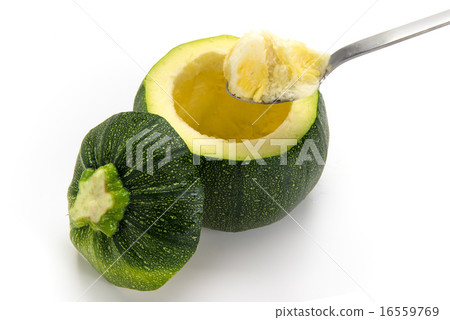 Round Zucchini 16559769